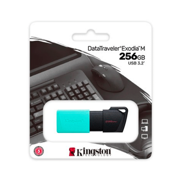 PENDRIVE KINGSTON DTXM 256 GB USB 3.2