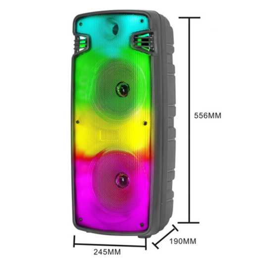 SPEAKER KOLAV F2808 8"X2 USB/FM/BLUETOOTH